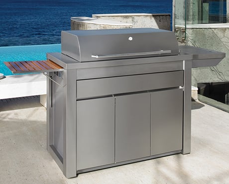 electrolux-env-barbecue.jpg